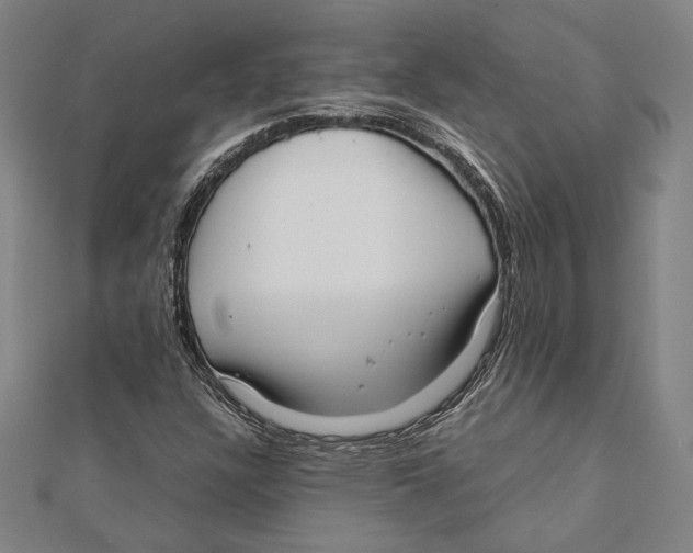 X0000111781304200908201101