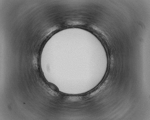 X0000111781305200908201101
