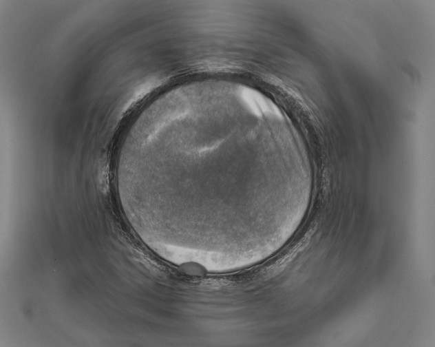 X0000111781306200908201101
