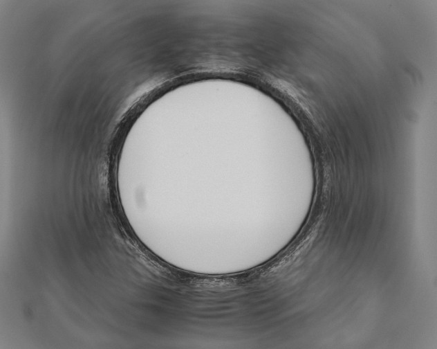 X0000111781307200908201101