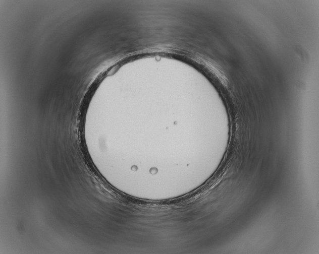 X0000111781308200908201101
