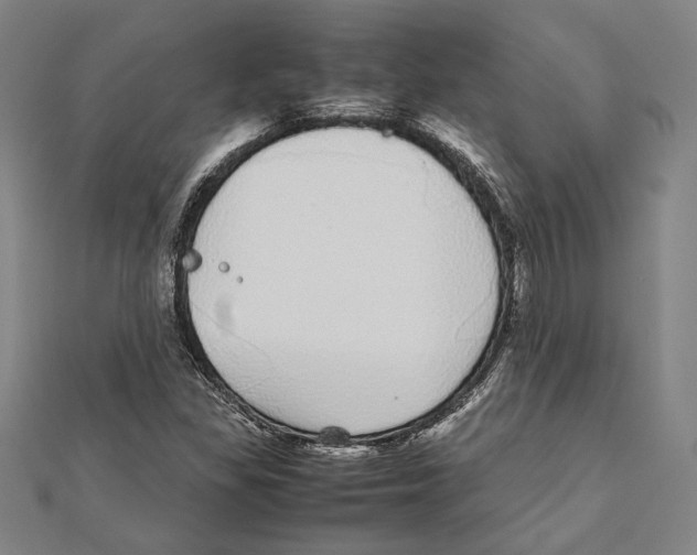 X0000111781309200908201101