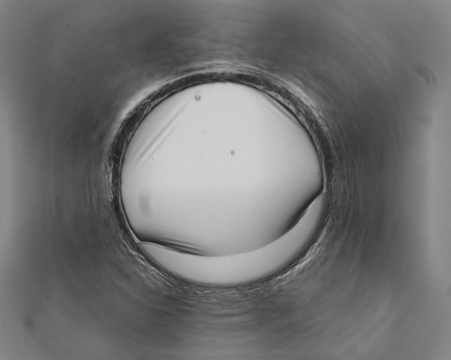 X0000111781310200908201101