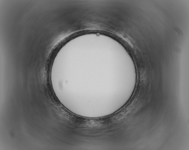 X0000111781311200908201101
