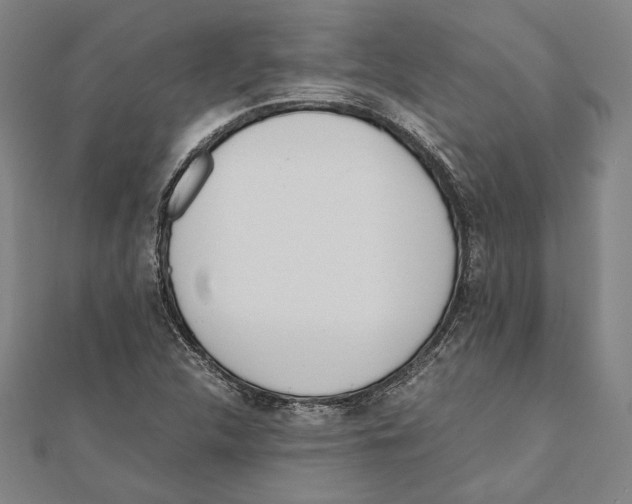 X0000111781312200908201101