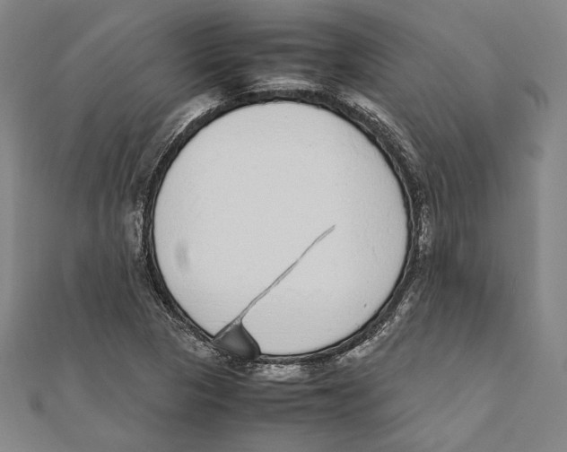 X0000111781313200908201101