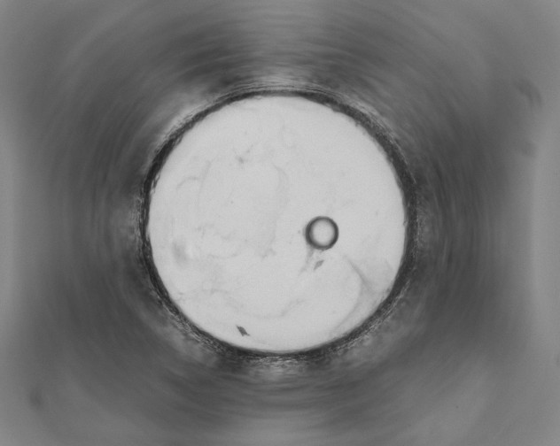 X0000111781314200908201101