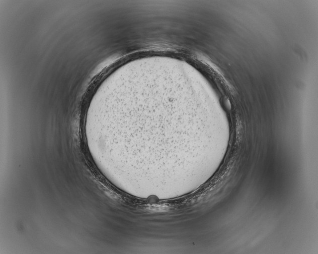 X0000111781315200908201101