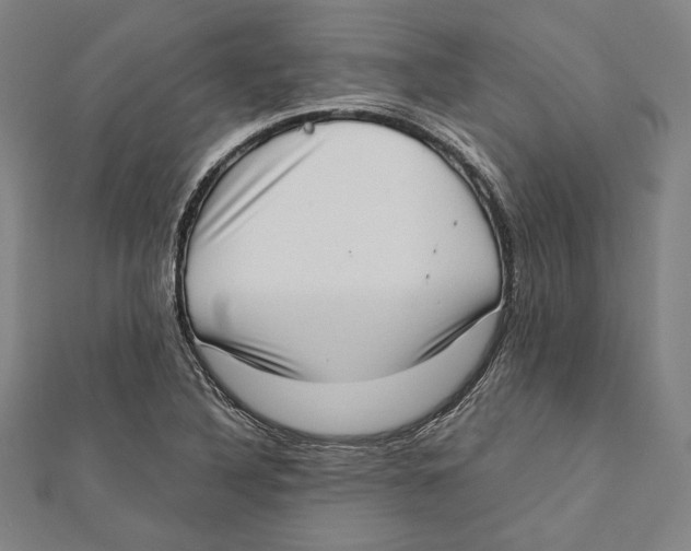 X0000111781316200908201101