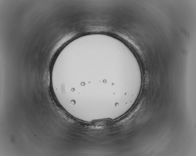 X0000111781317200908201101