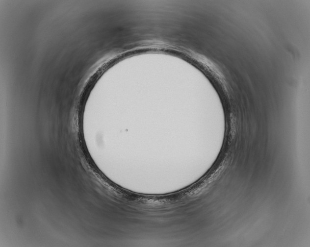 X0000111781318200908201101