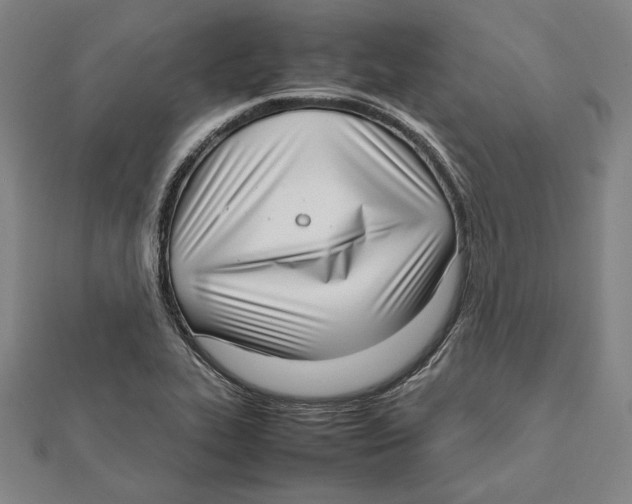 X0000111781319200908201101