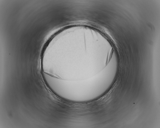 X0000111781320200908201101