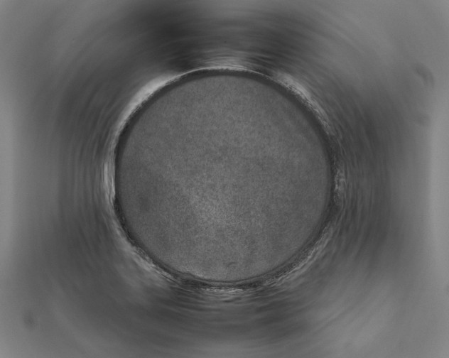 X0000111781323200908201101