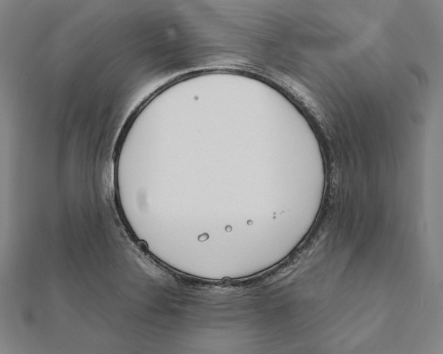 X0000111781324200908201101