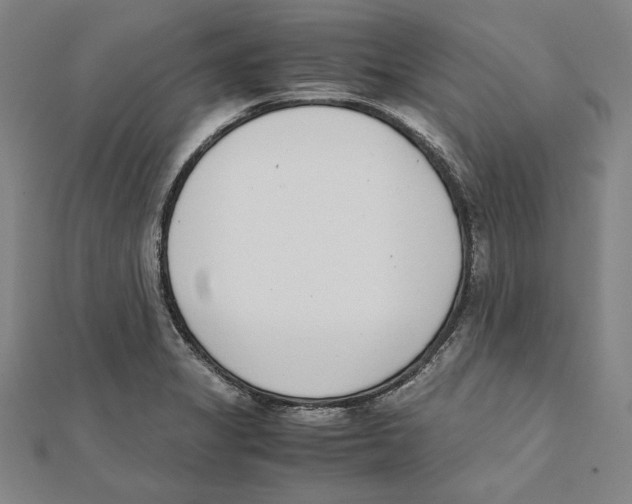 X0000111781325200908201101