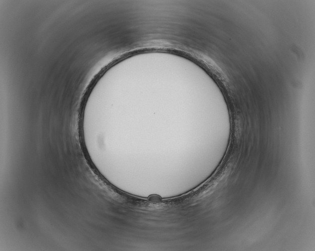 X0000111781326200908201101