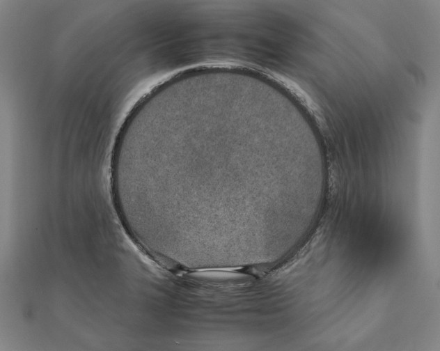 X0000111781327200908201101