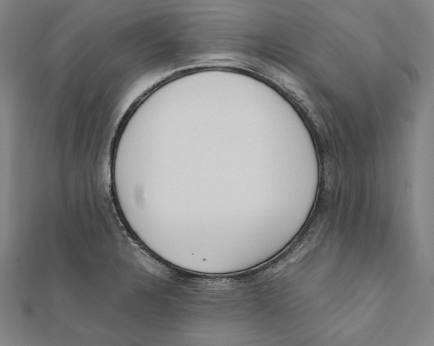 X0000111781328200908201101