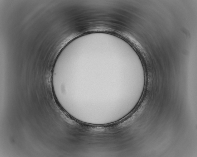 X0000111781329200908201101