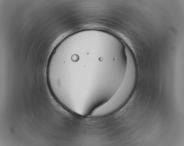 X0000111781330200908201101