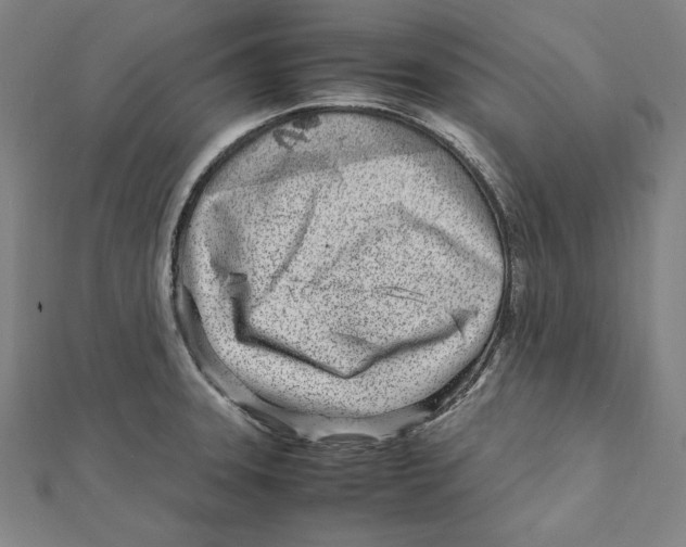 X0000111781331200908201101
