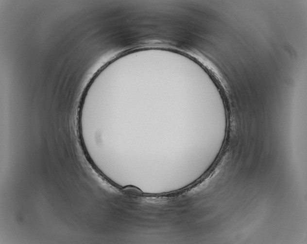 X0000111781333200908201101
