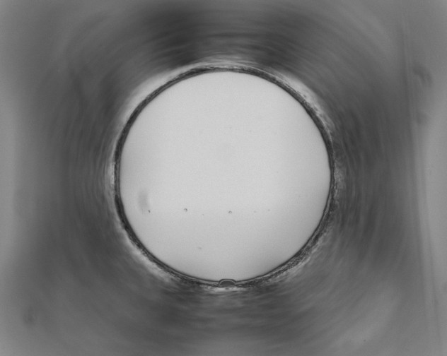 X0000111781335200908201101