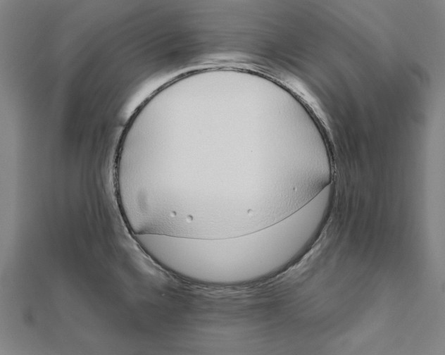 X0000111781336200908201101