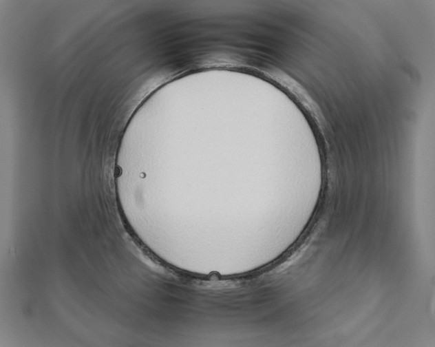 X0000111781337200908201101