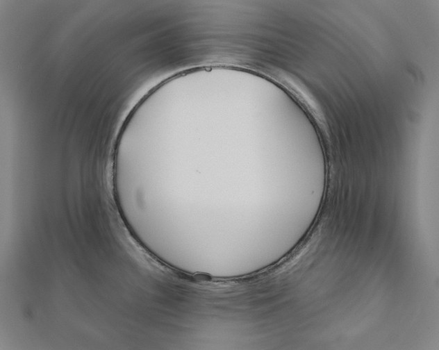 X0000111781340200908201101