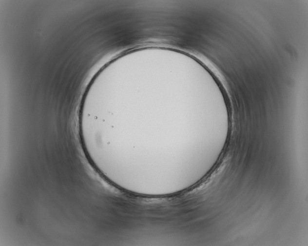 X0000111781341200908201102