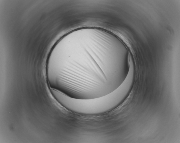 X0000111781342200908201102