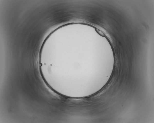 X0000111781343200908201102