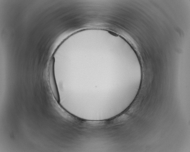 X0000111781344200908201102