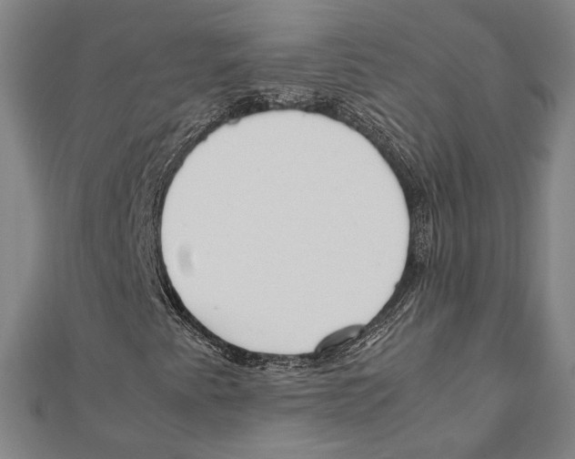 X0000111781345200908201101