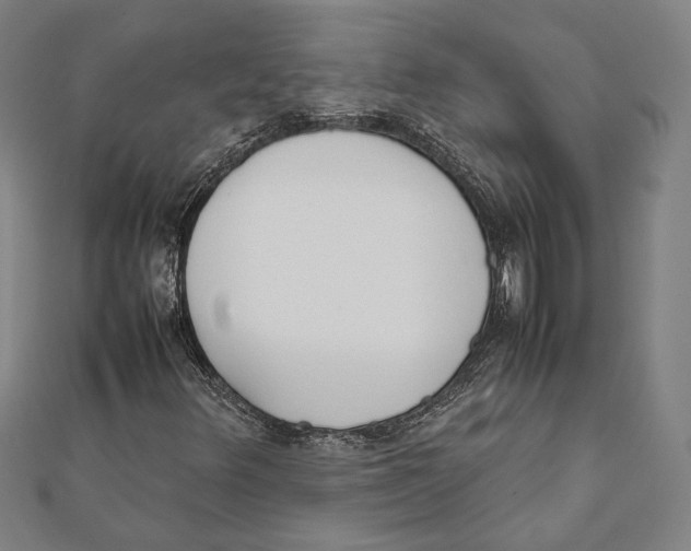 X0000111781348200908201101