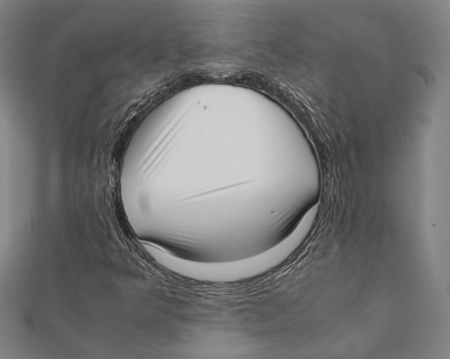 X0000111781349200908201101
