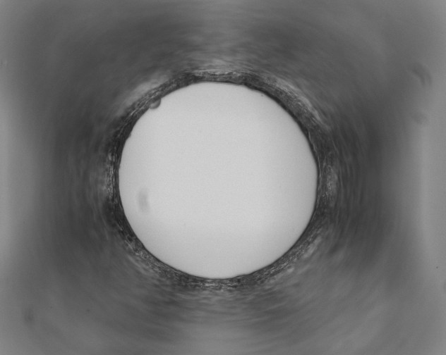 X0000111781350200908201101