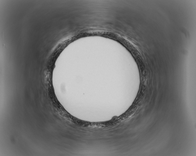 X0000111781351200908201101