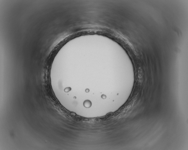 X0000111781352200908201101