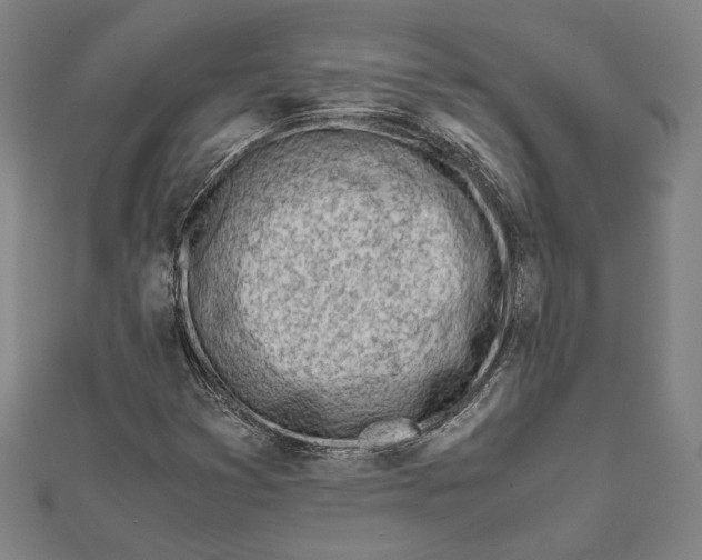 X0000111781353200908201101