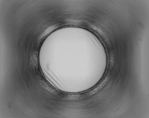 X0000111781354200908201101