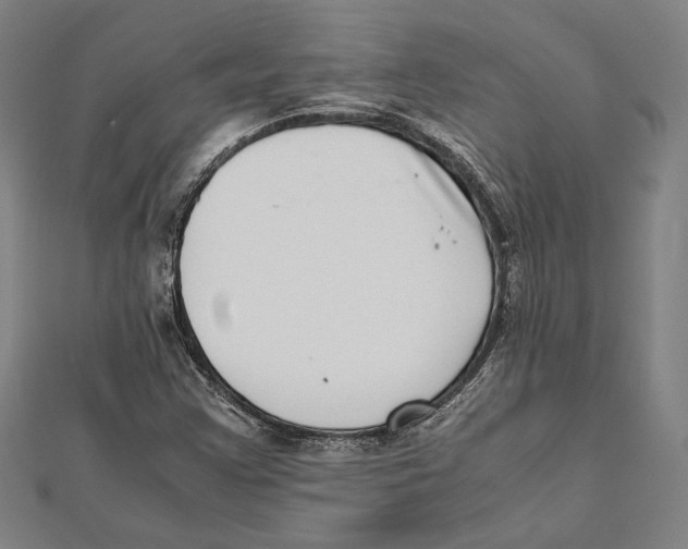 X0000111781355200908201101