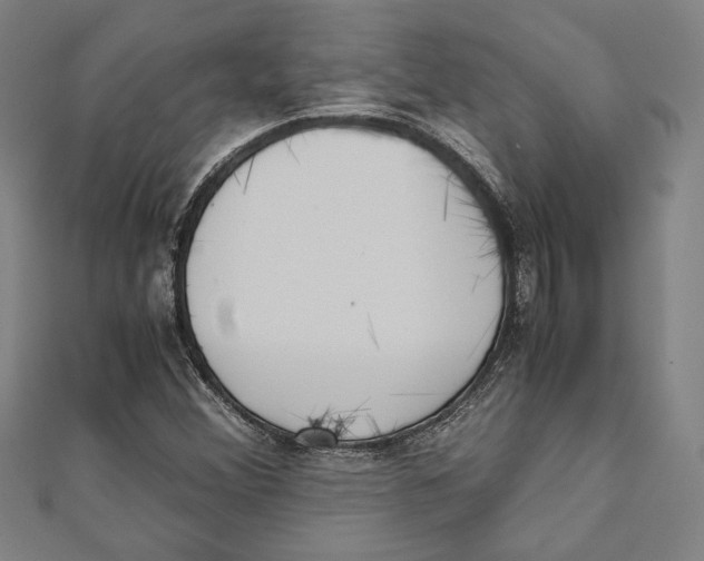 X0000111781356200908201101