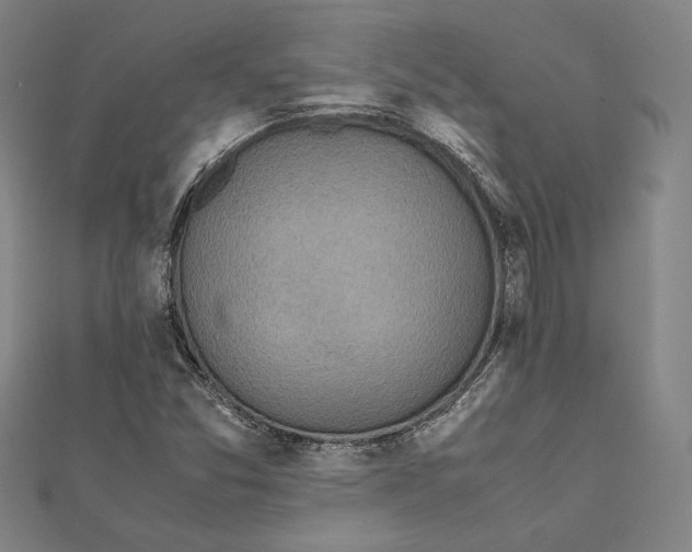 X0000111781357200908201101
