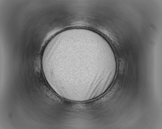 X0000111781358200908201101