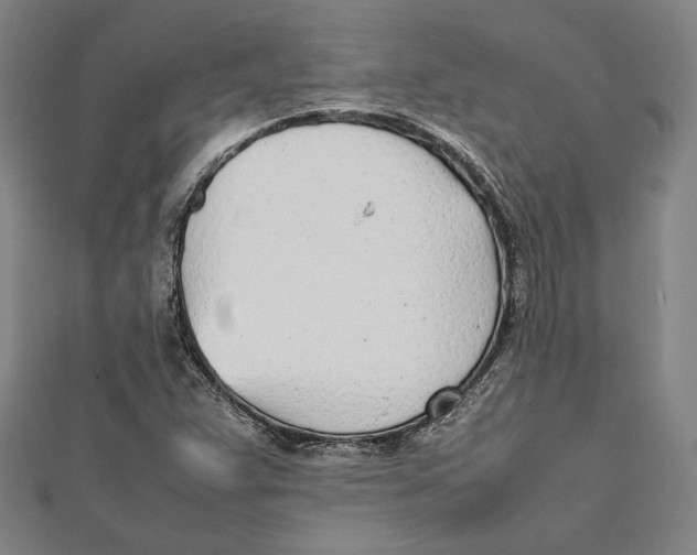X0000111781359200908201101