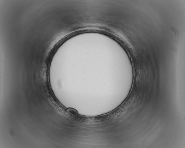 X0000111781360200908201101
