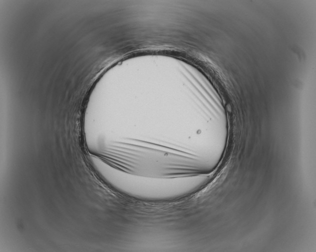 X0000111781361200908201100